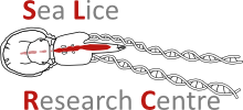 LiceBase
